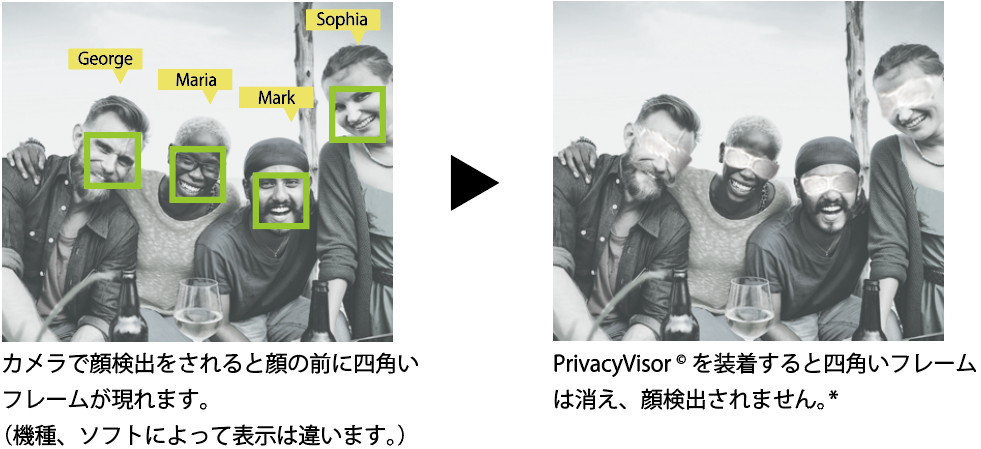 pic_privacyvisor.png