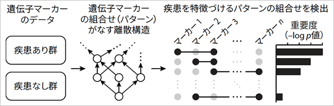 img_sugiyama_border.png