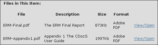 $B?^(B 14 $B%9%/%j!<%s%7%g%C%H(B (18KB): DSpace$B%