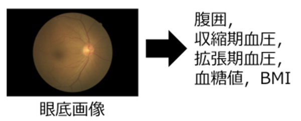 release_20250507_fig1.png