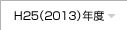 H25（2013）年度
