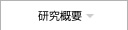 研究概要