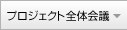 プロジェクト全体会議