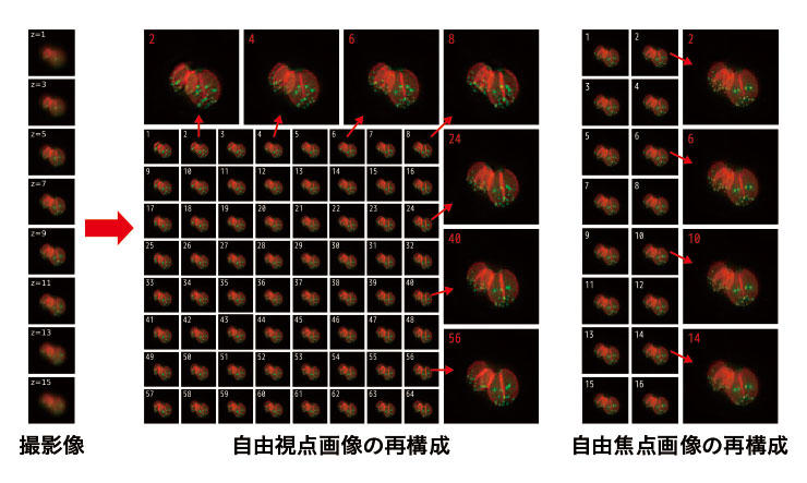 18-kodama-image2.jpg