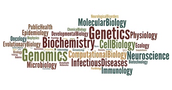 Figure 3: Word cloud of PLoS ONE papers by subject area