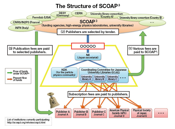  The Structure of SCOAP3 