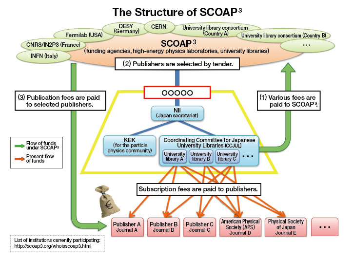 The Structure of SCOAP3