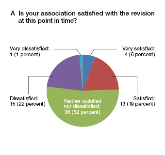 Level of satisfaction with the revision