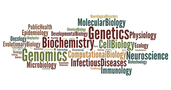 3: PLoS ONEのSubject Area別論文数によるワードクラウド